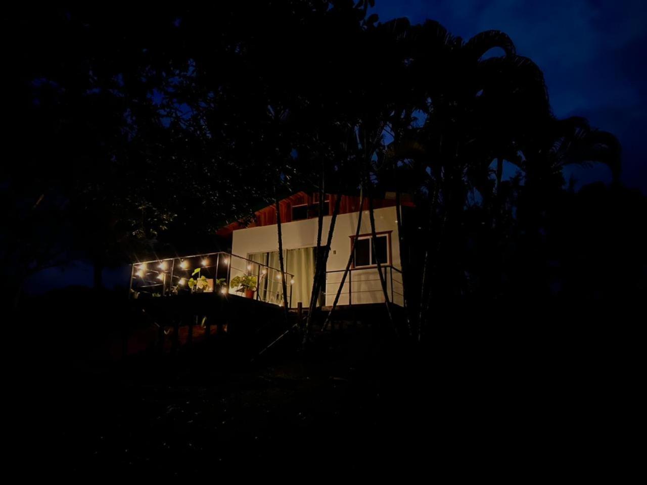Ficus House Boca Tapada