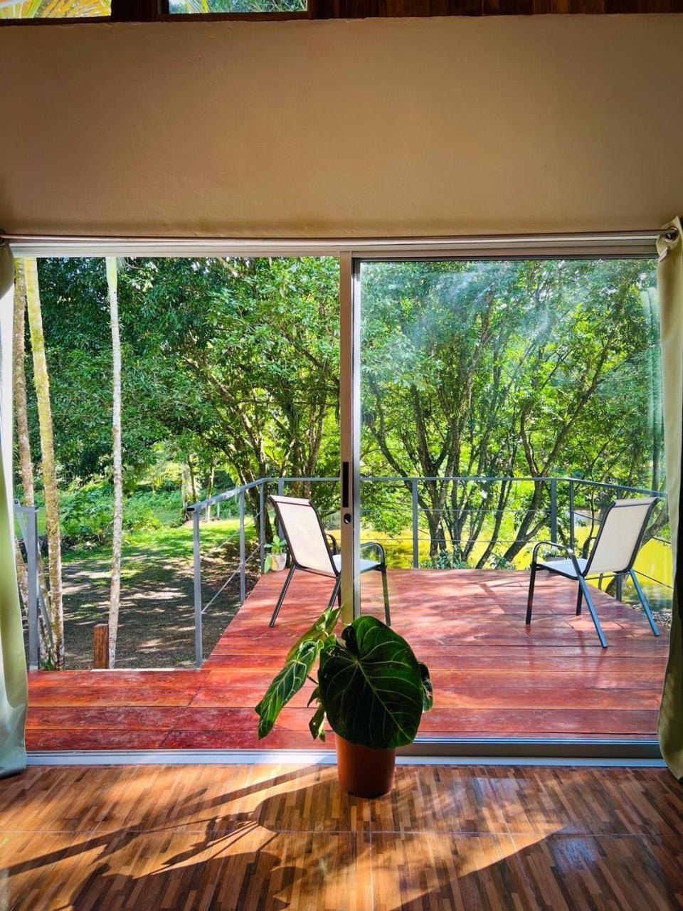 Ficus House Boca Tapada
