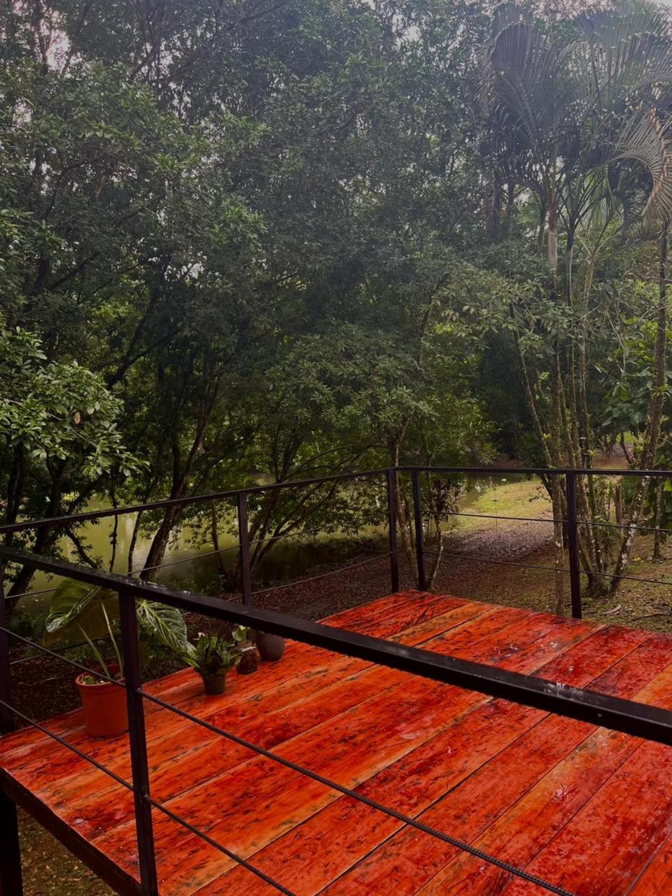 Ficus House Boca Tapada