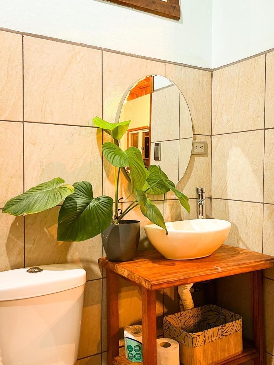 Apartment Ficus House Boca Tapada