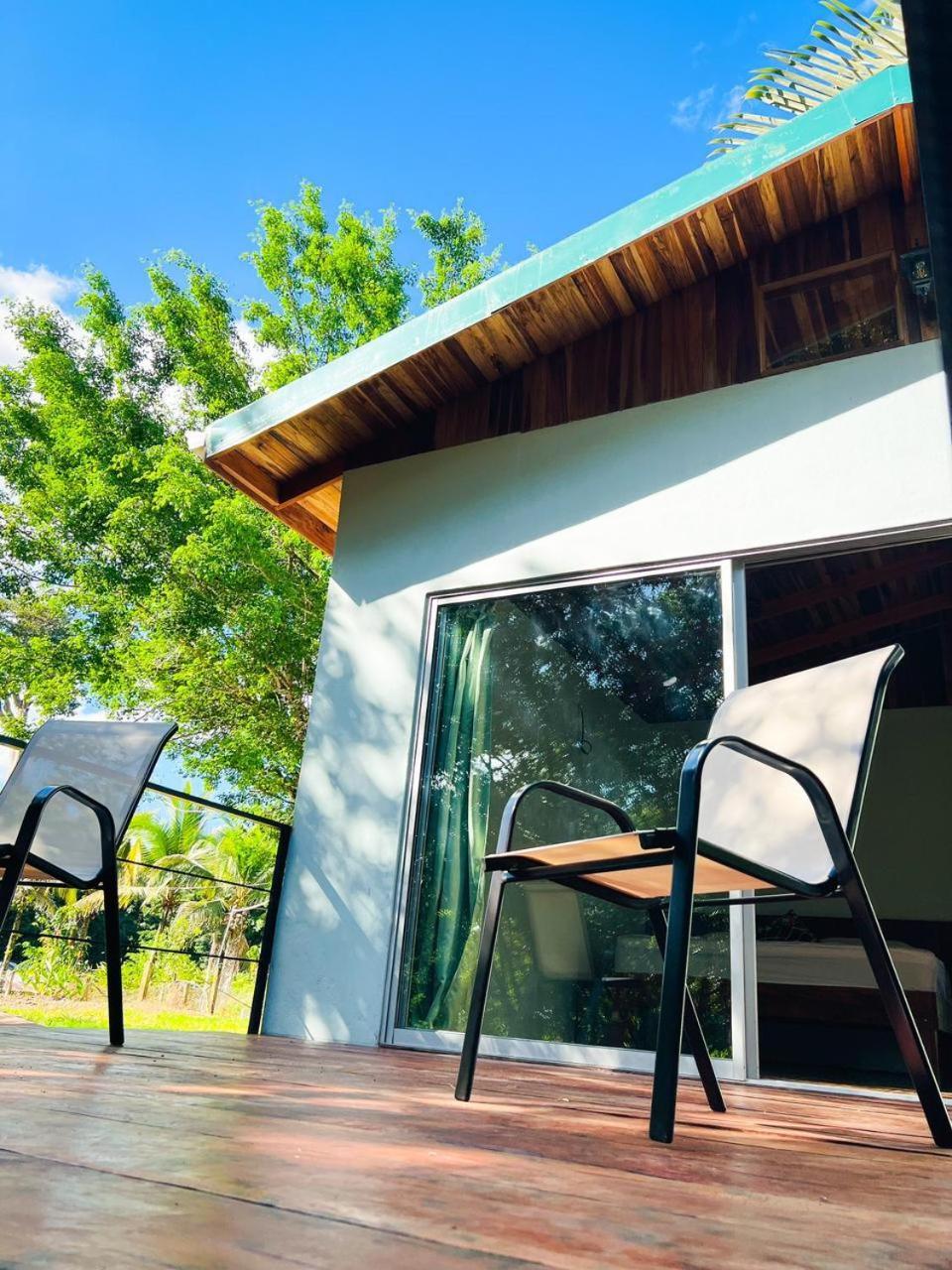 Ficus House *