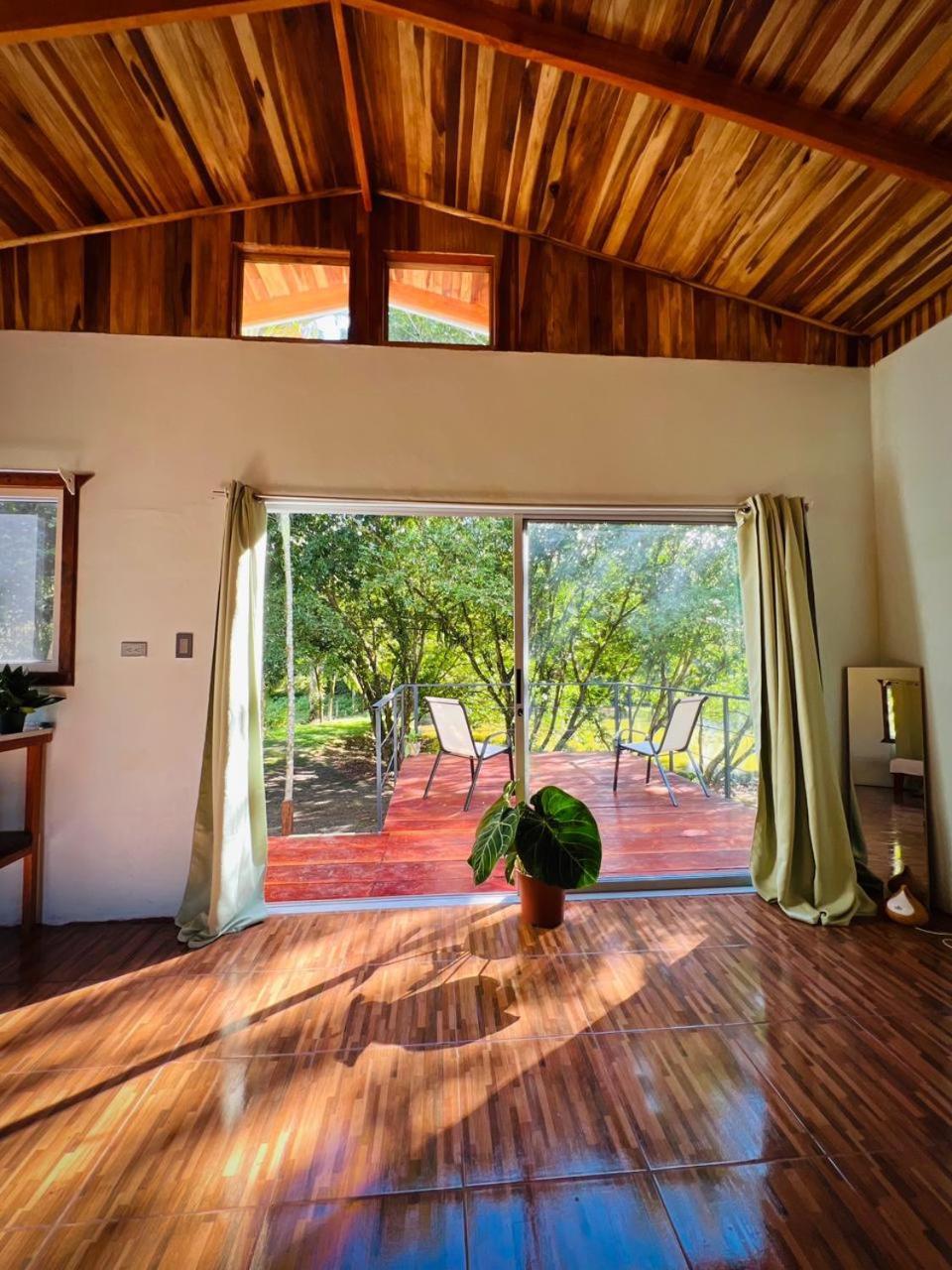 Ficus House Boca Tapada