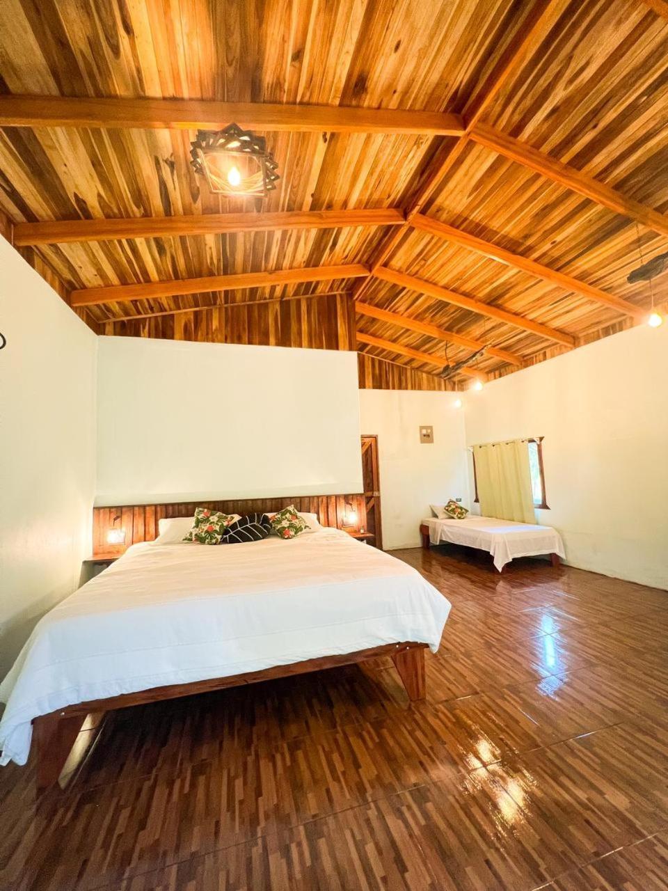 Ficus House Apartment
